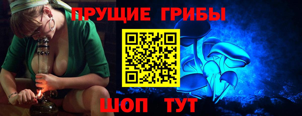 Фрязино  Псилоцибиновые грибы мухоморы  Псилоцибиновые грибы ЛСД  Вход с VPN 